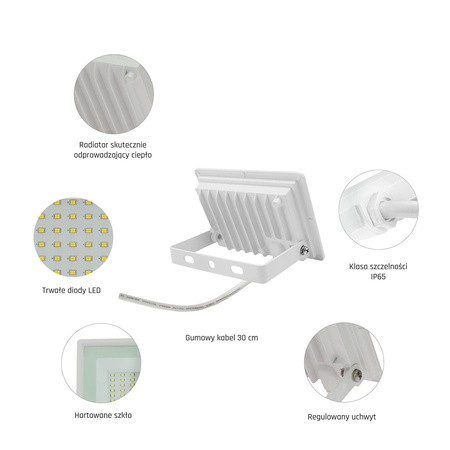 NOCTIS LUX 2 SMD 230V 20W IP65 CW WHITE
