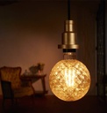 Vintage 1906 Big Globe 40 Filament Pine 